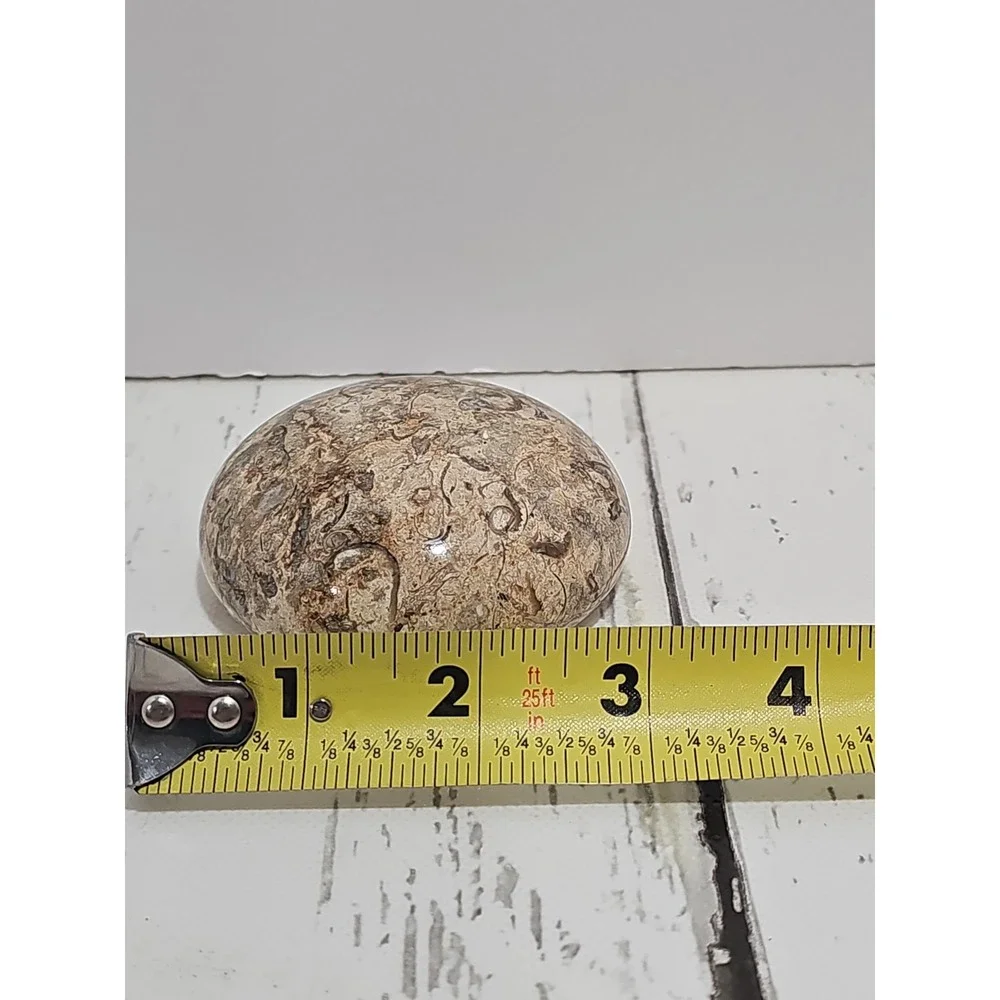 POLISHED SHELL FOSSIL PAPERWEIGHT. 3